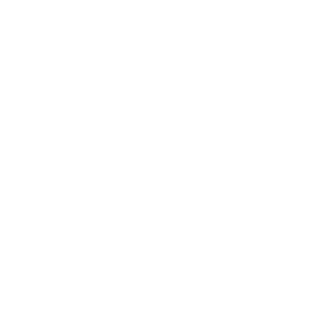 sante synthesi